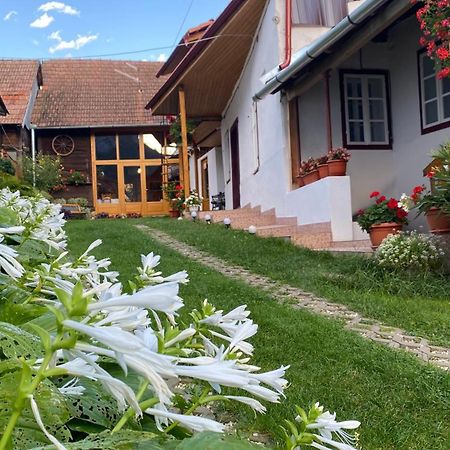Hotel Casa Kelemen Iren Rimetea Exterior foto